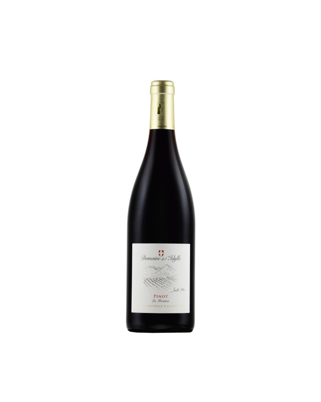 PINOT NOIR «Les moraines» 2024 VIN BIO