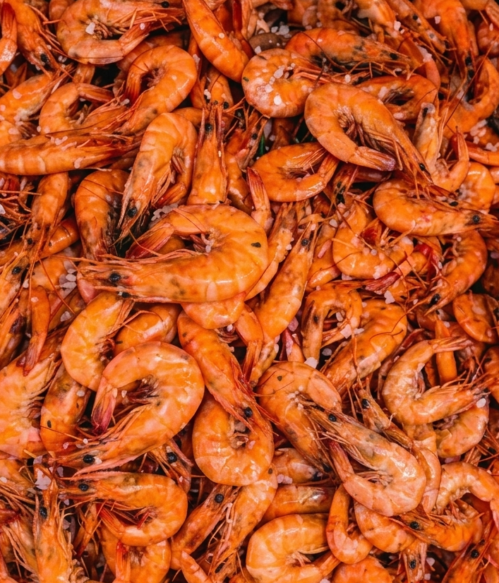 Crevettes rose (0,5kg)