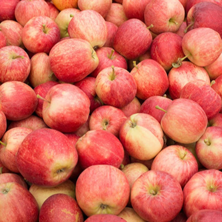 Pommes bio var. Aléatoire (0,5kg)
