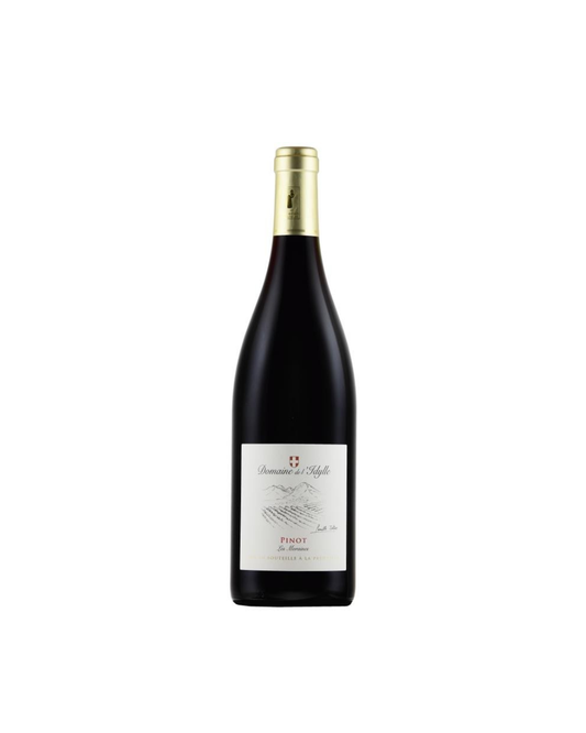 PINOT NOIR «Les moraines» 2024 VIN BIO