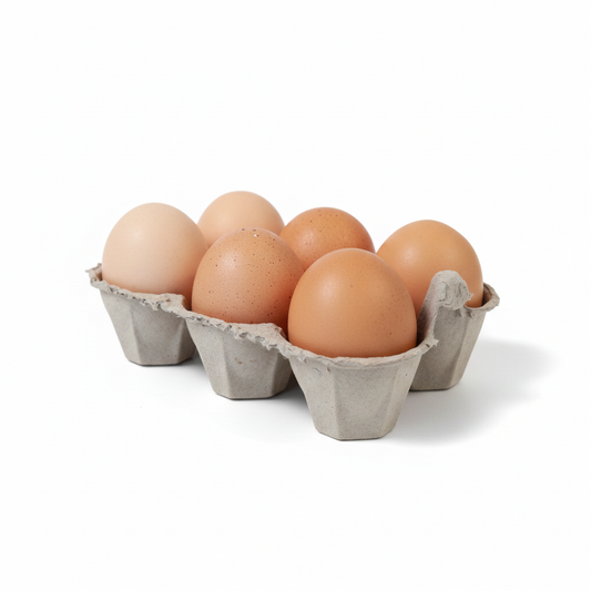 Boîte de 6 oeufs