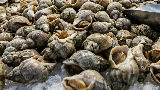 Bulot (0,5kg)