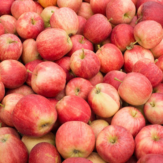 Pommes bio var. Aléatoire (0,5kg)