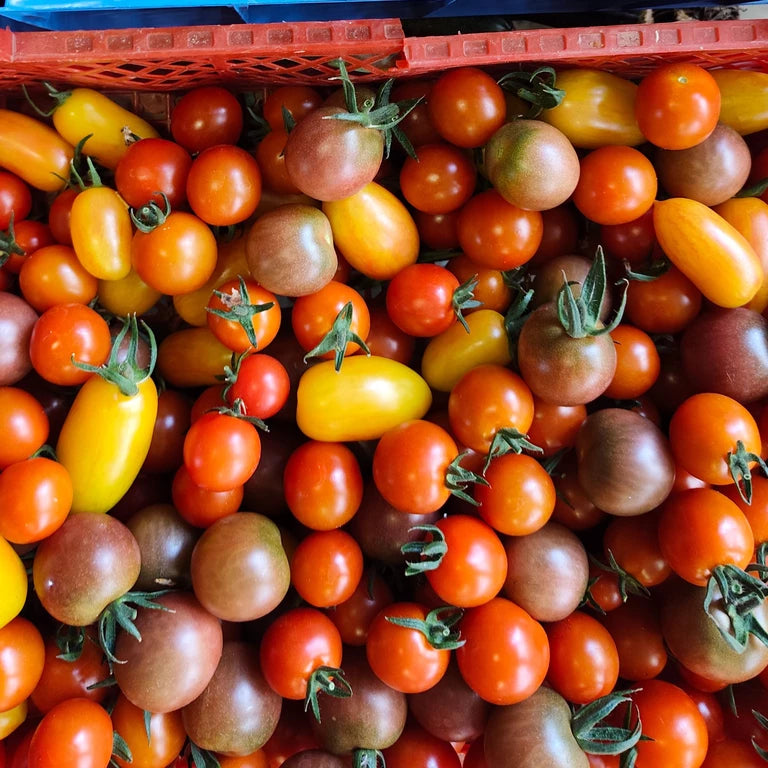Tomates cerises mix (200g)